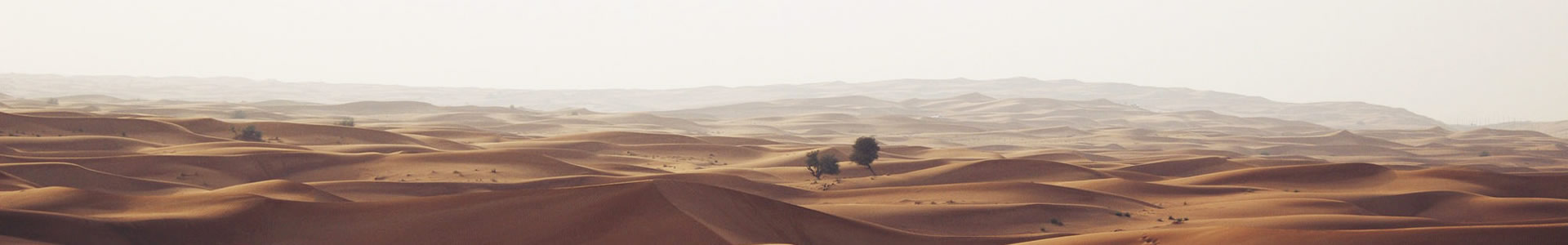 ɽNƼ޹˾
